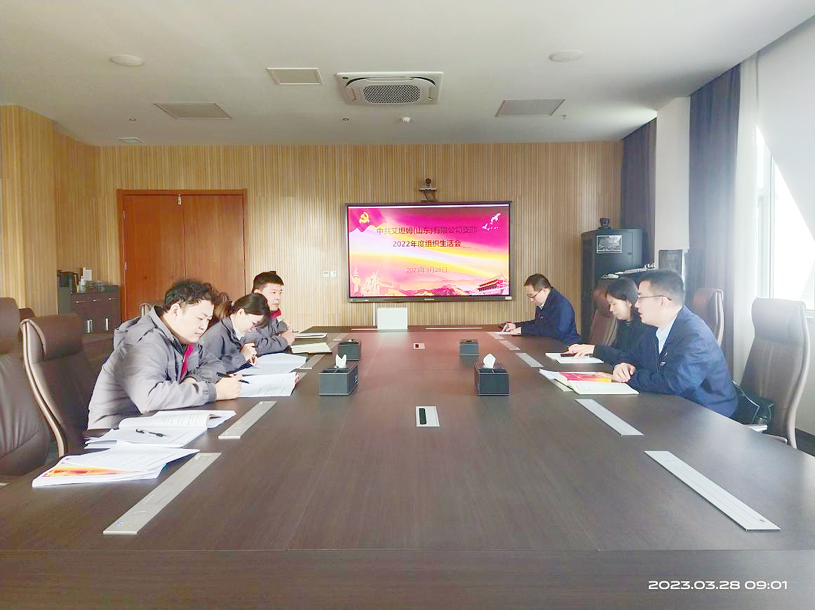 艾坦姆黨支部召開2022年度組織生活會